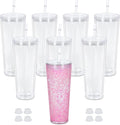 24oz Acrylic Snow Globe Tumbler