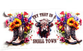 Decal #098 - Try That In A Small Town